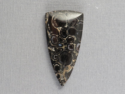 Fossilized Palm Root Cabochon Triangle | Palm Root Eye | 29x19mm, 23.6ct | Indonesia | PRA107 - - GemEnthusiast
