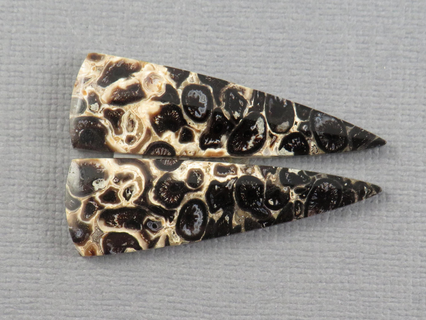 Fossilized Palm Root Cabochon Pair | Palm Root Eye | 36x11mm, 13.66ct | Per Pair | Indonesia | PRA109 - - GemEnthusiast