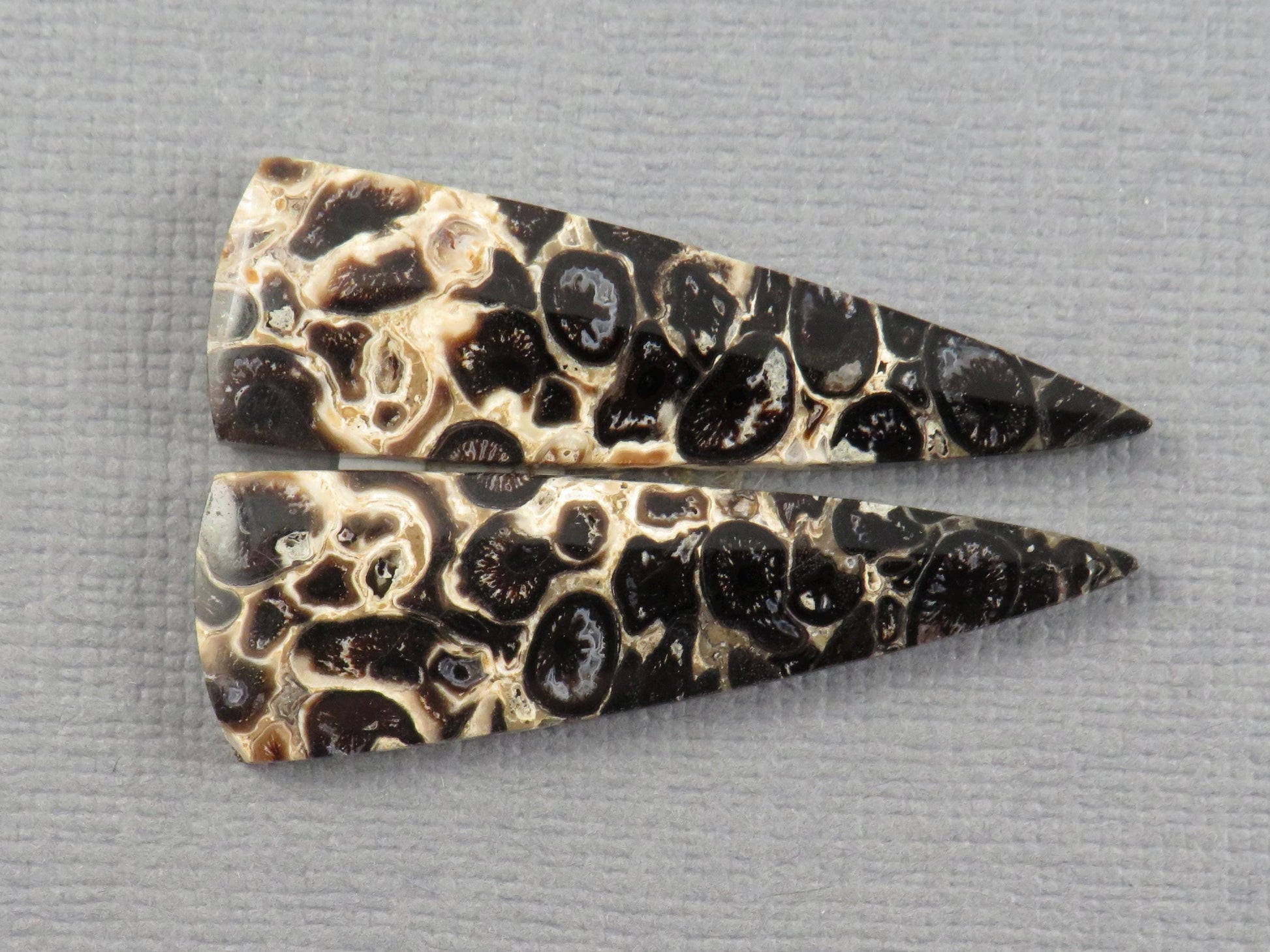 Fossilized Palm Root Cabochon Pair | Palm Root Eye | 36x11mm, 13.66ct | Per Pair | Indonesia | PRA109 - - GemEnthusiast
