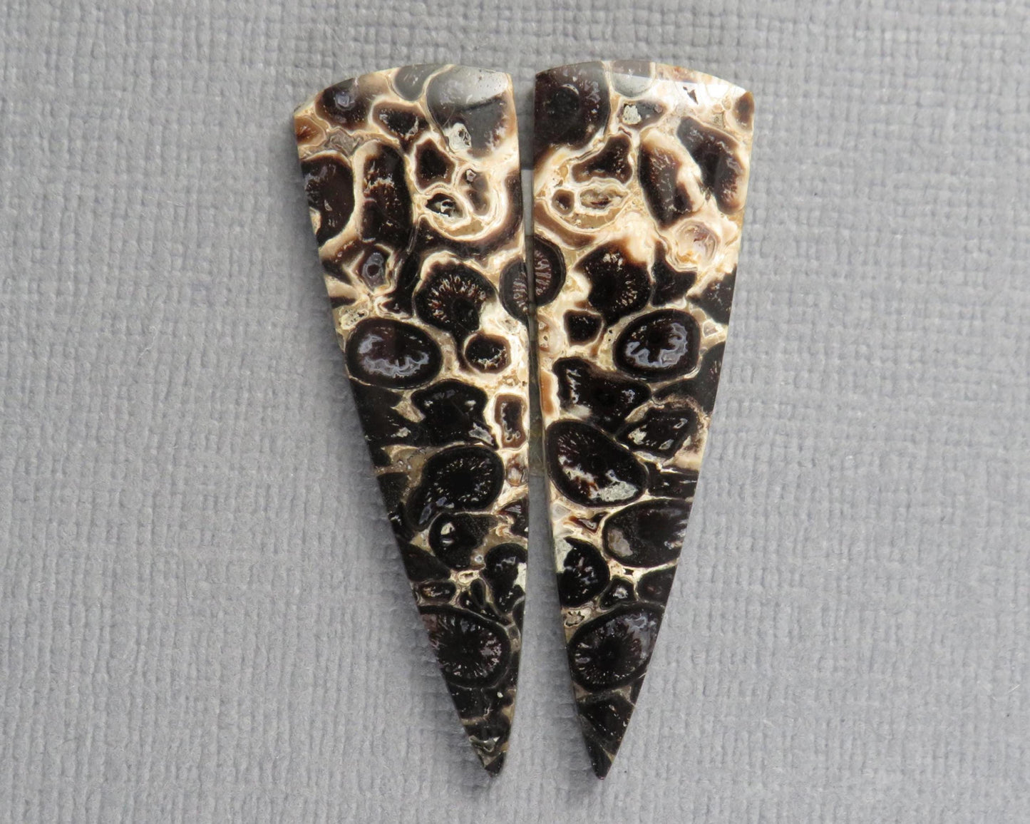Fossilized Palm Root Cabochon Pair | Palm Root Eye | 36x11mm, 13.66ct | Per Pair | Indonesia | PRA109 - - GemEnthusiast
