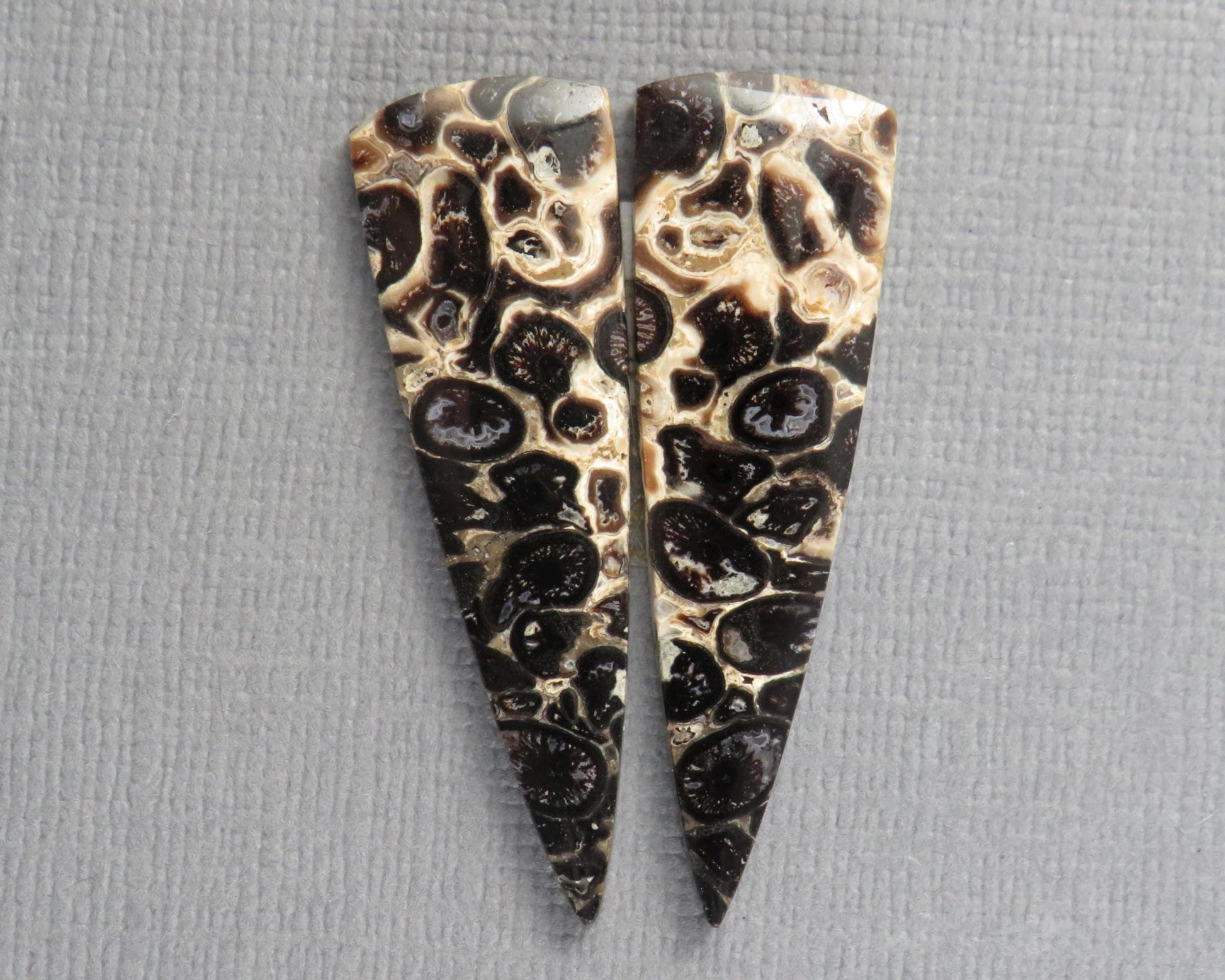 Fossilized Palm Root Cabochon Pair | Palm Root Eye | 36x11mm, 13.66ct | Per Pair | Indonesia | PRA109 - - GemEnthusiast