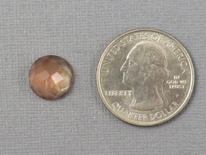 11mm Oregon Sunstone - Rose Cut Rose Cut Round | 4.62ct | Sun Crystal Mine, Oregon Sunstone | OSR121 - - GemEnthusiast