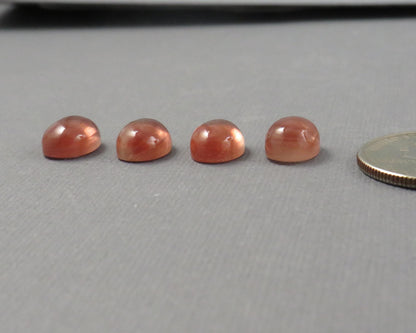 11x8 Oregon Sunstone Oval | avg 3.77ct | Per Stone | Oregon USA | OSC359 - - GemEnthusiast