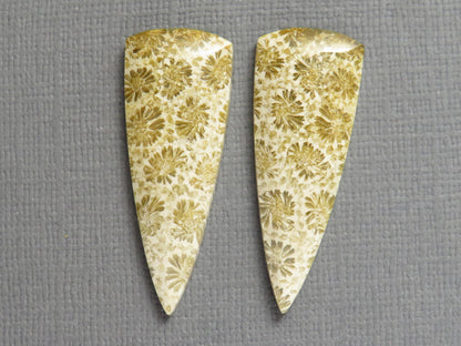Fossilized Coral Cabochon | Agatized Coral | 34x13mm, 22.5ct | Per Pair | Indonesia | FC103 - - GemEnthusiast