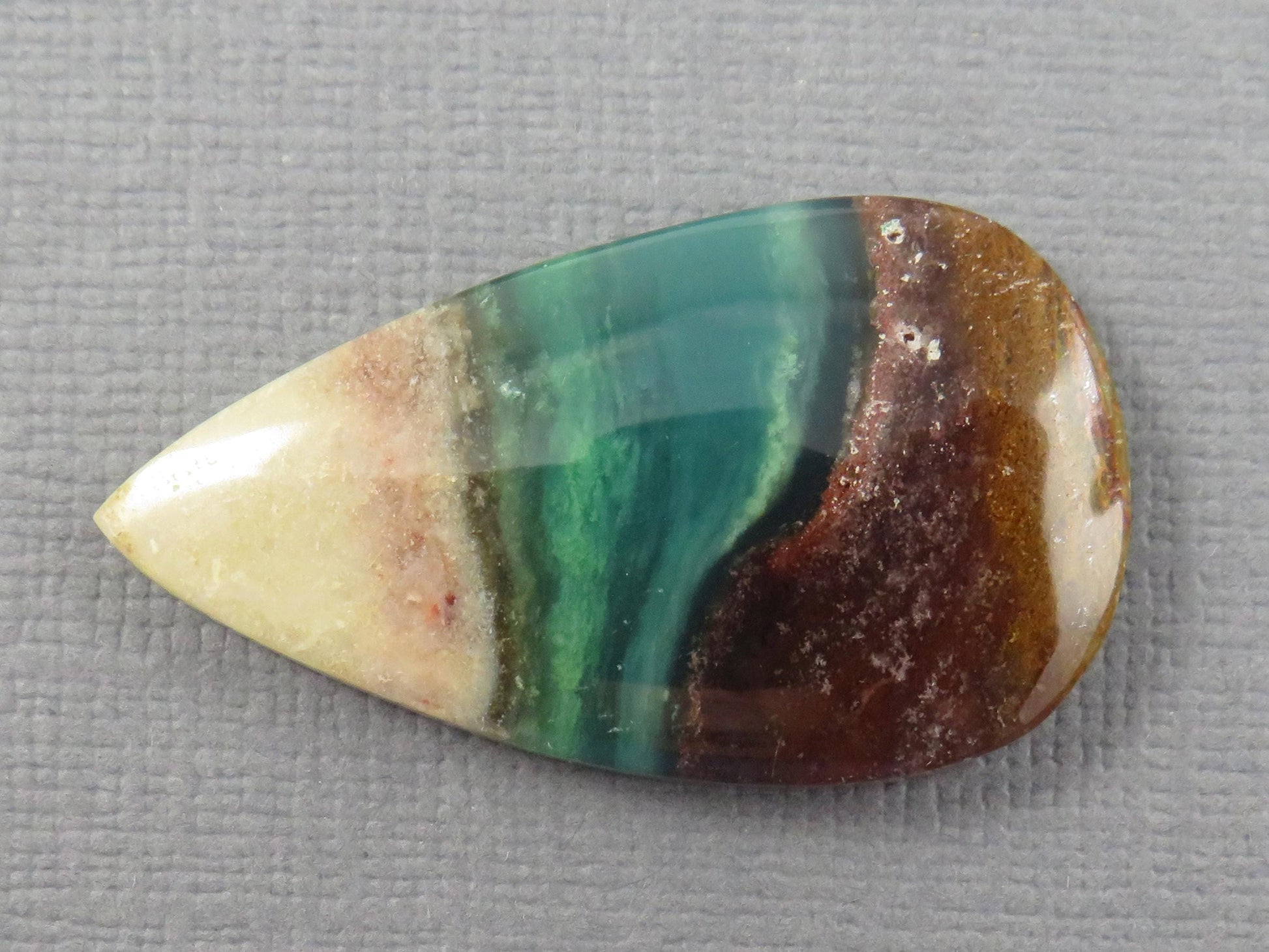 Opalized Wood Pear Cabochon | Petrified Wood | Fossil | WO247 - - GemEnthusiast
