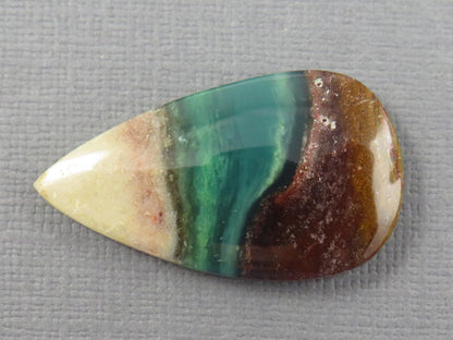 Opalized Wood Pear Cabochon | Petrified Wood | Fossil | WO247 - - GemEnthusiast
