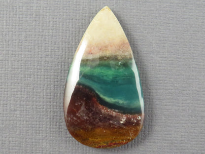 Opalized Wood Pear Cabochon | Petrified Wood | Fossil | WO247 - - GemEnthusiast