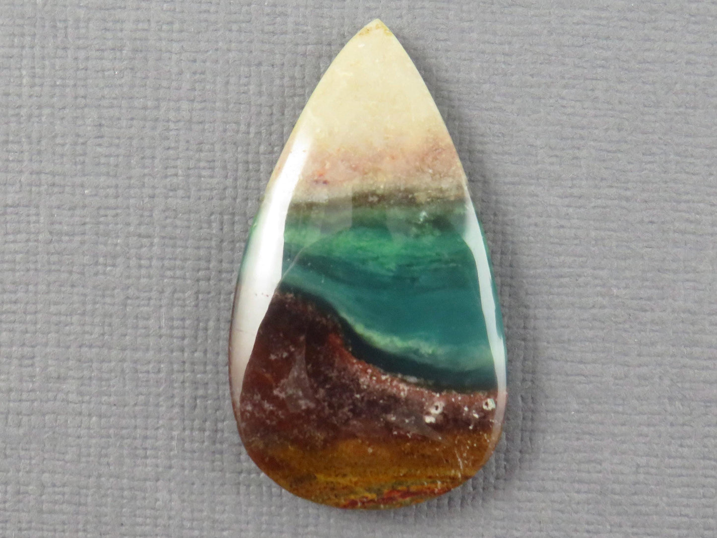 Opalized Wood Pear Cabochon | Petrified Wood | Fossil | WO247 - - GemEnthusiast