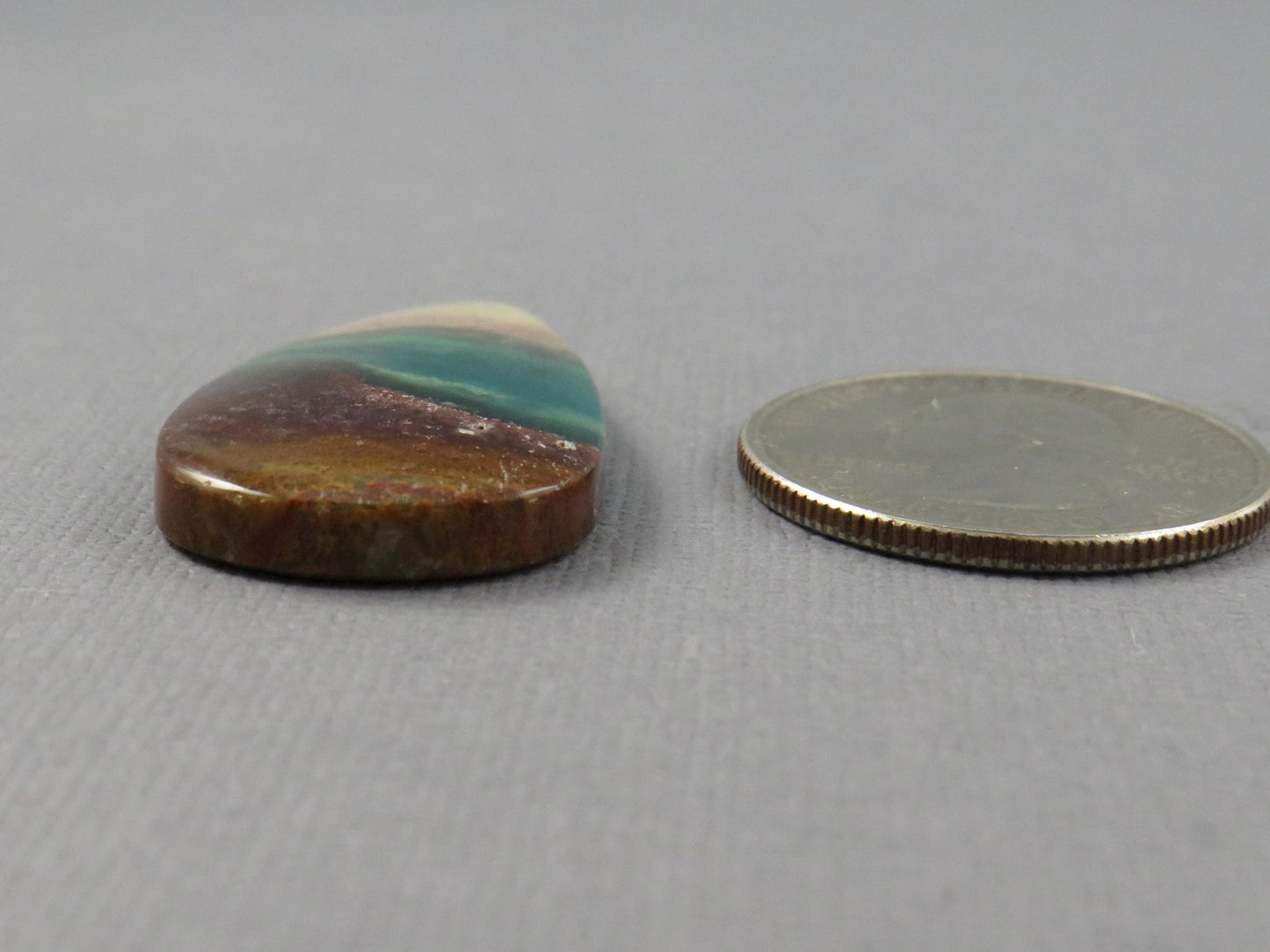 Opalized Wood Pear Cabochon | Petrified Wood | Fossil | WO247 - - GemEnthusiast