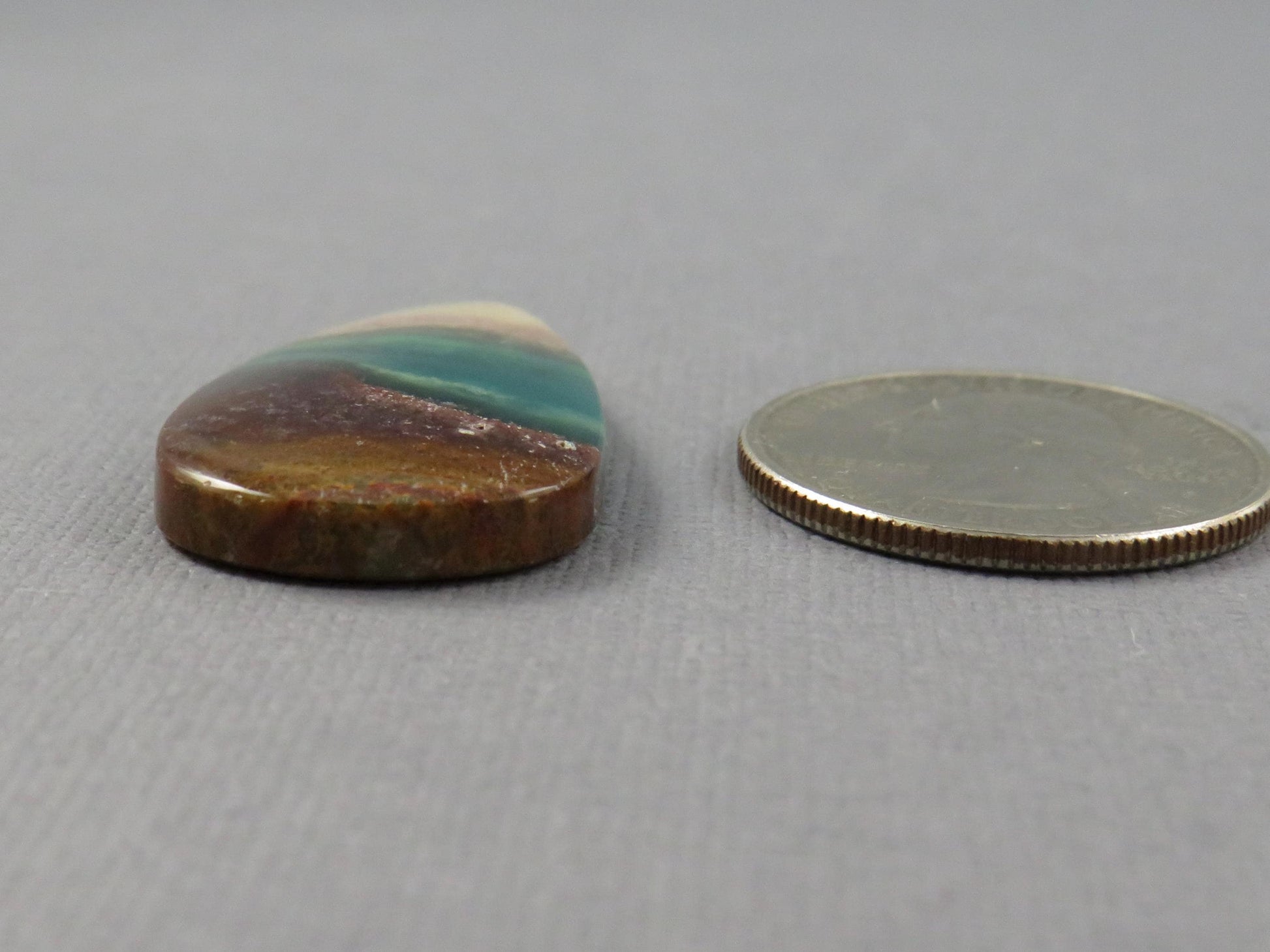 Opalized Wood Pear Cabochon | Petrified Wood | Fossil | WO247 - - GemEnthusiast