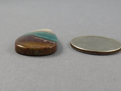 Opalized Wood Pear Cabochon | Petrified Wood | Fossil | WO247 - - GemEnthusiast