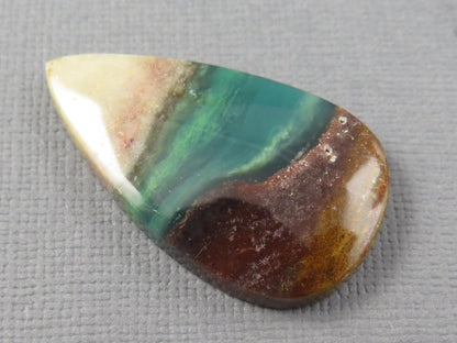 Opalized Wood Pear Cabochon | Petrified Wood | Fossil | WO247 - - GemEnthusiast