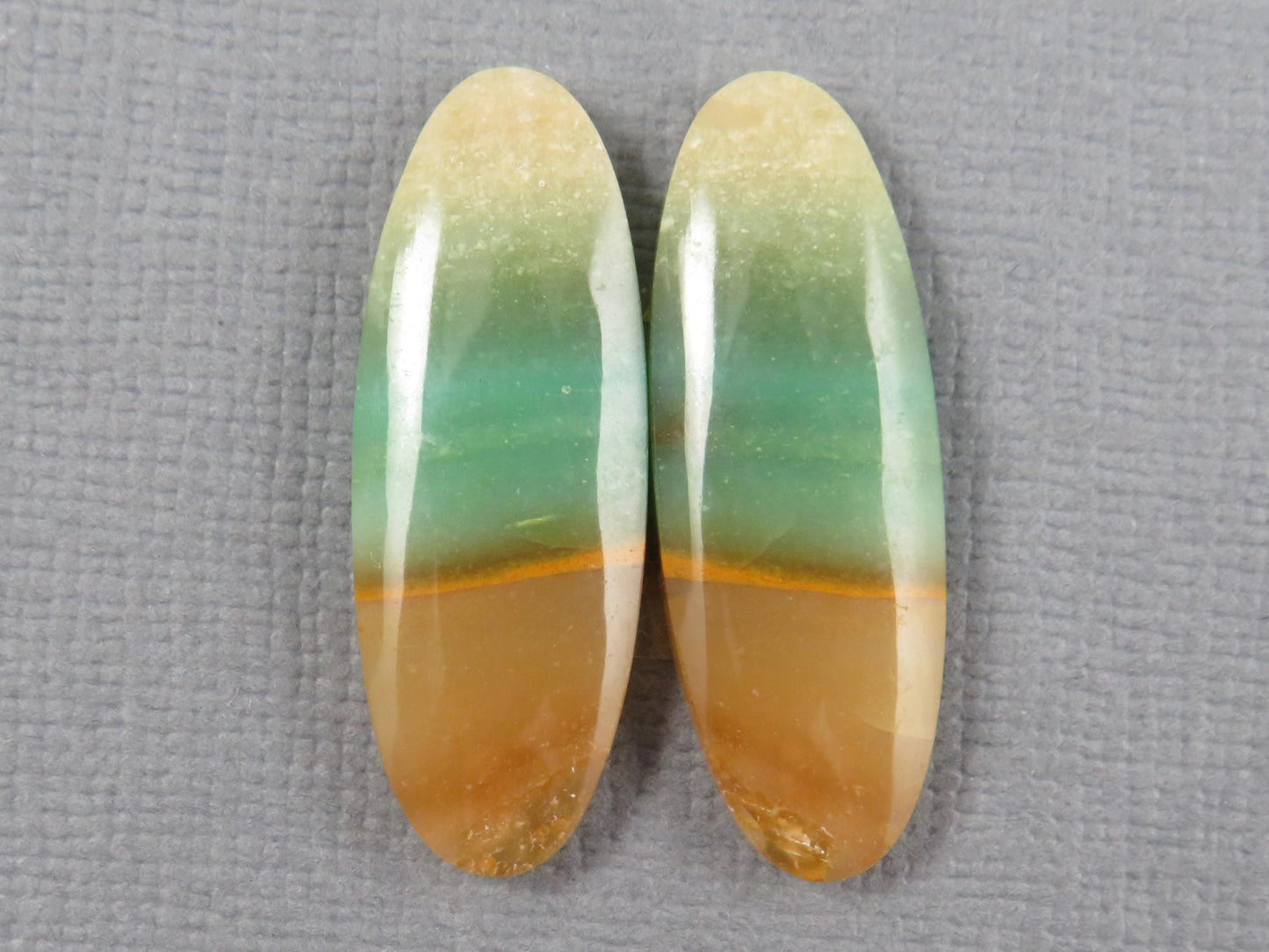 Opalized Wood Pair Lot | 26–30mm| Indonesia | WO255 - - GemEnthusiast