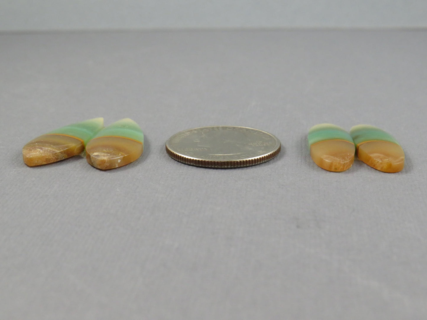 Opalized Wood Pair Lot | 26–30mm| Indonesia | WO255 - - GemEnthusiast