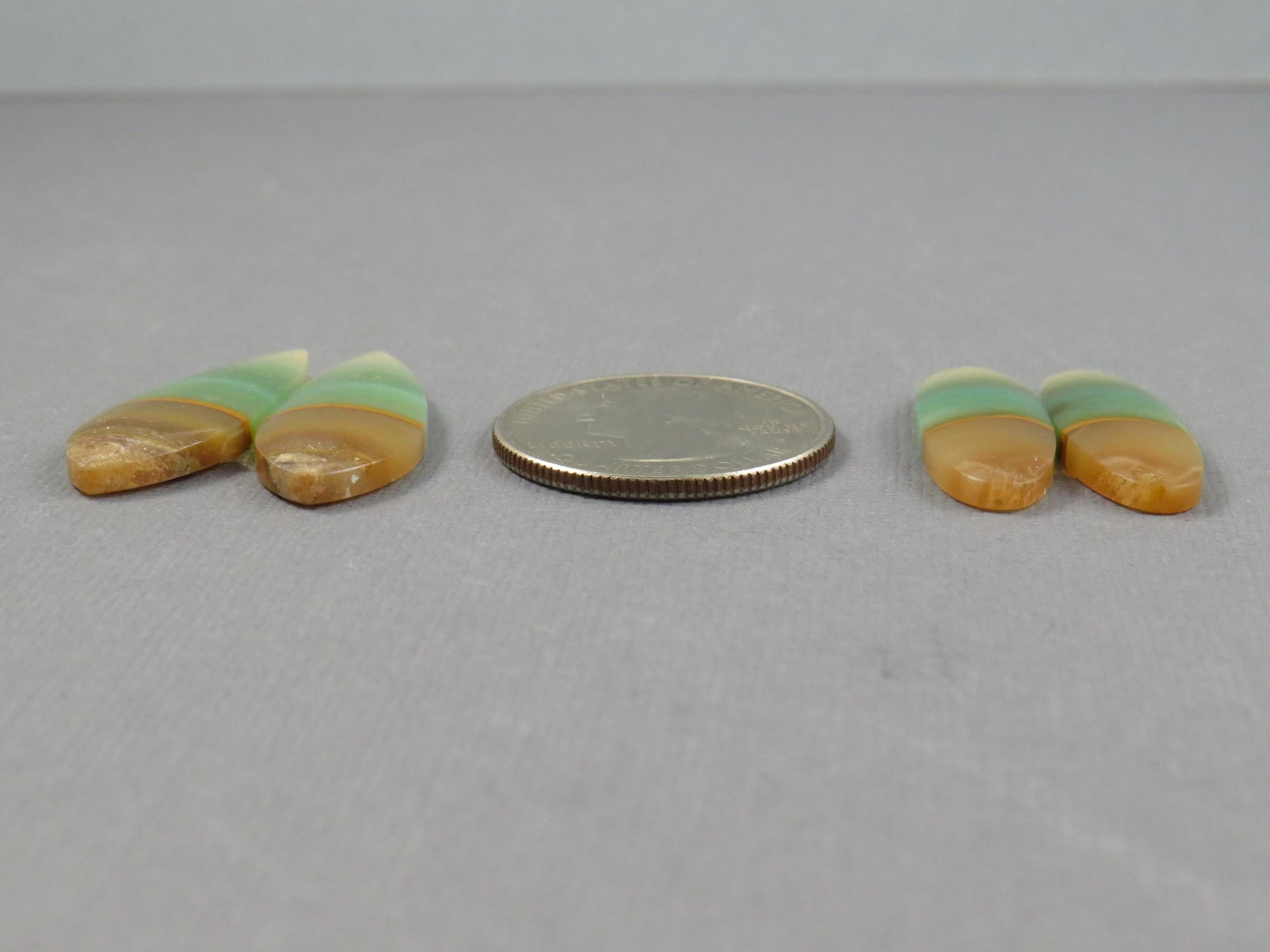 Opalized Wood Pair Lot | 26–30mm| Indonesia | WO255 - - GemEnthusiast