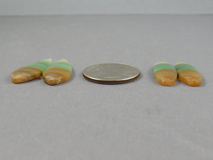 Opalized Wood Pair Lot | 26–30mm| Indonesia | WO255 - - GemEnthusiast