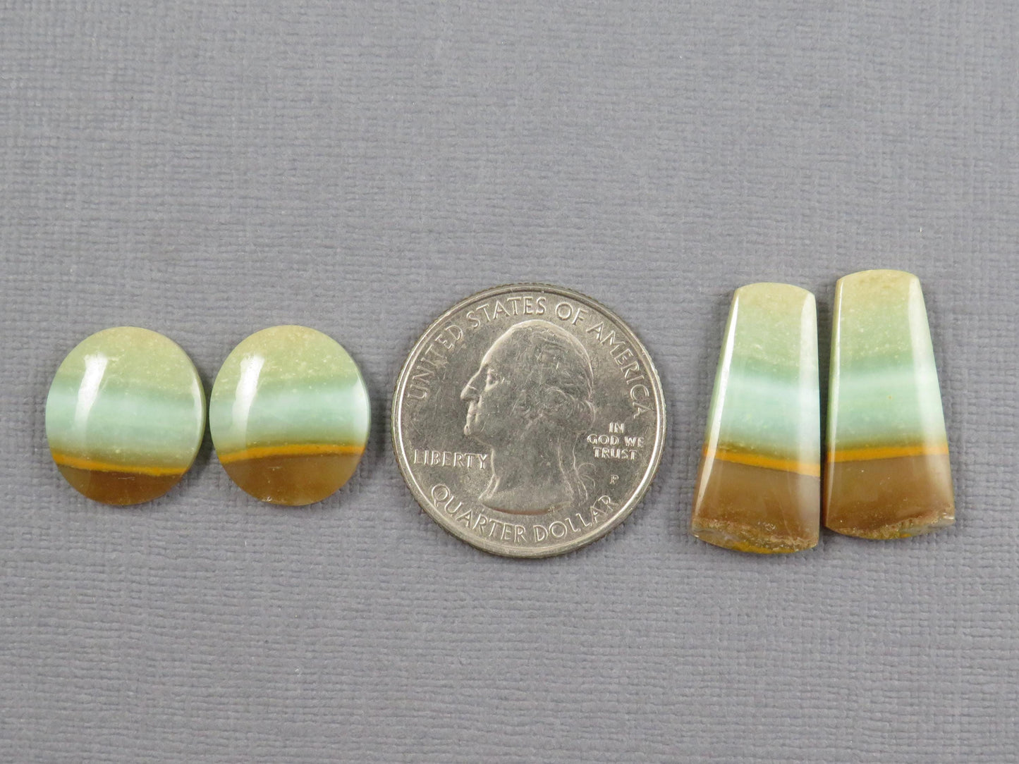 Opalized Wood Cabochons | 2 Pair Lot | 15.8–24mm | Indonesia | WO257 - - GemEnthusiast