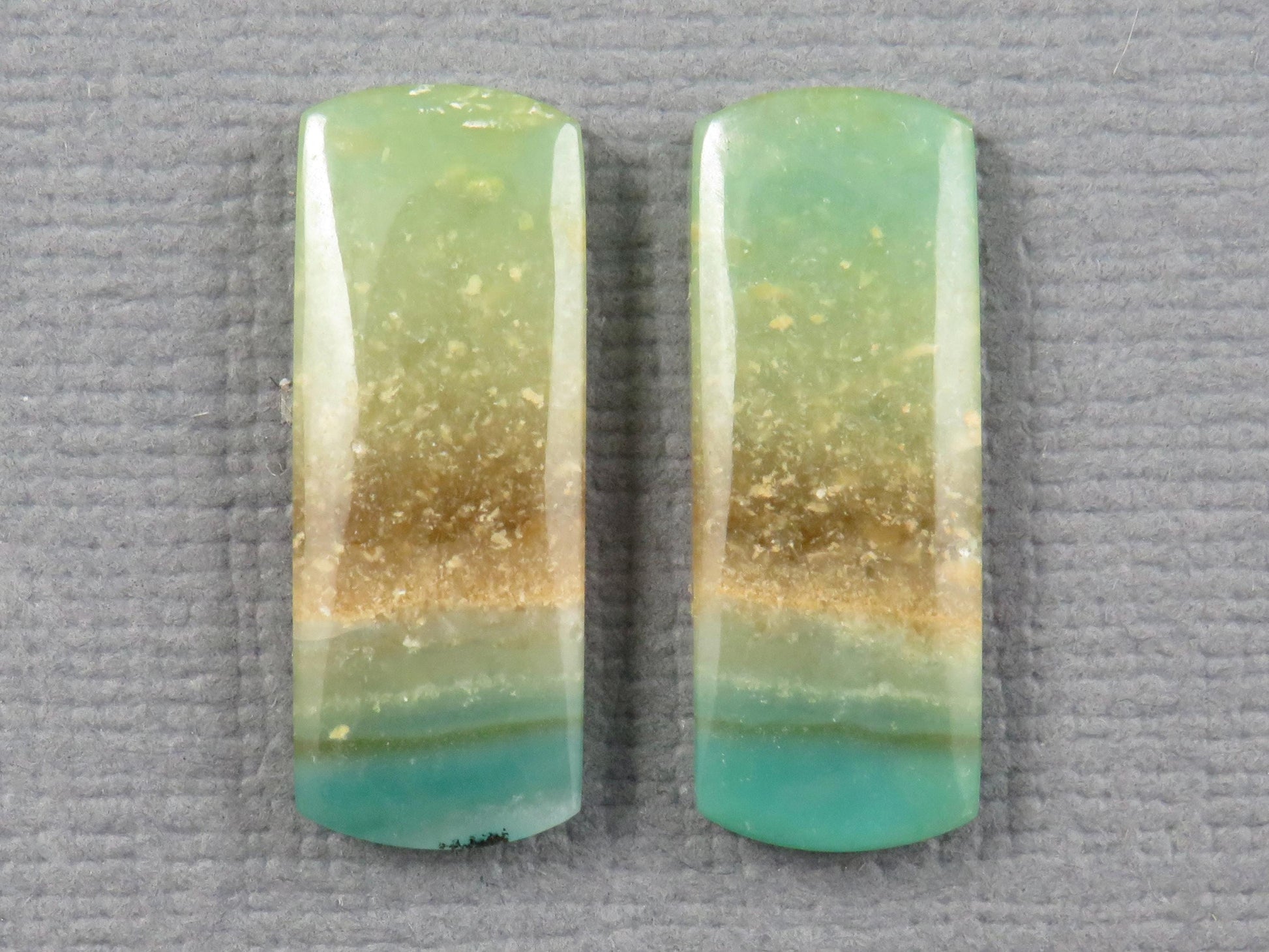 Opalized Wood Pair | Petrified Wood Opal | 18x7mm, 6.23ct | Indonesia | WO259 - - GemEnthusiast