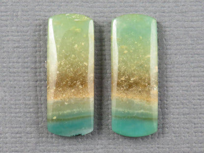 Opalized Wood Pair | Petrified Wood Opal | 18x7mm, 6.23ct | Indonesia | WO259 - - GemEnthusiast