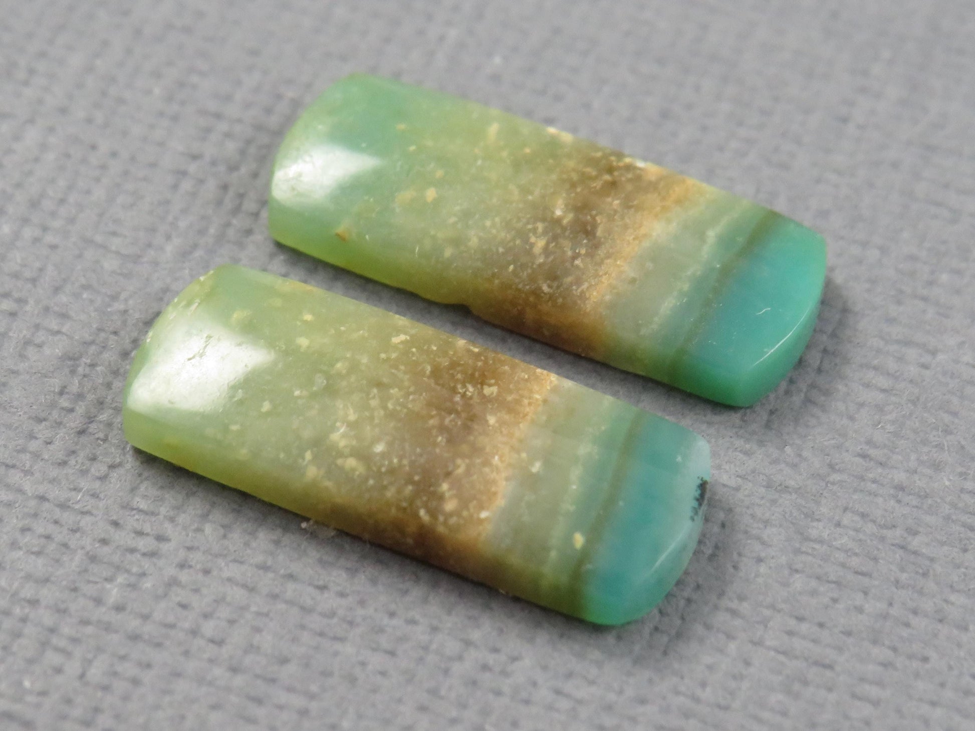 Opalized Wood Pair | Petrified Wood Opal | 18x7mm, 6.23ct | Indonesia | WO259 - - GemEnthusiast