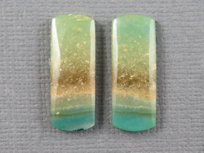 Opalized Wood Pair | Petrified Wood Opal | 18x7mm, 6.23ct | Indonesia | WO259 - - GemEnthusiast