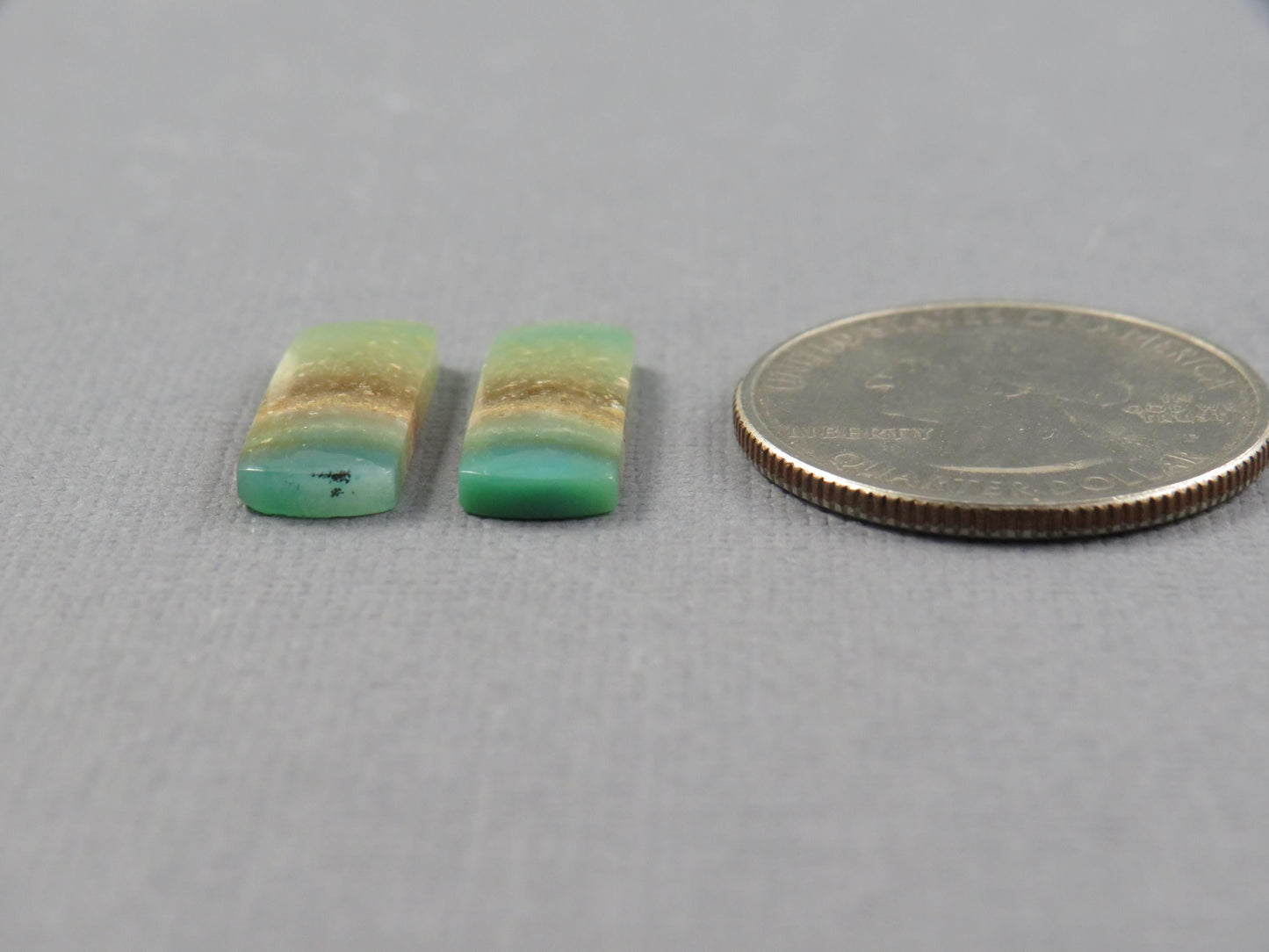 Opalized Wood Pair | Petrified Wood Opal | 18x7mm, 6.23ct | Indonesia | WO259 - - GemEnthusiast