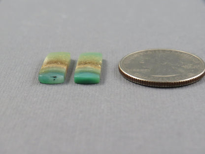 Opalized Wood Pair | Petrified Wood Opal | 18x7mm, 6.23ct | Indonesia | WO259 - - GemEnthusiast