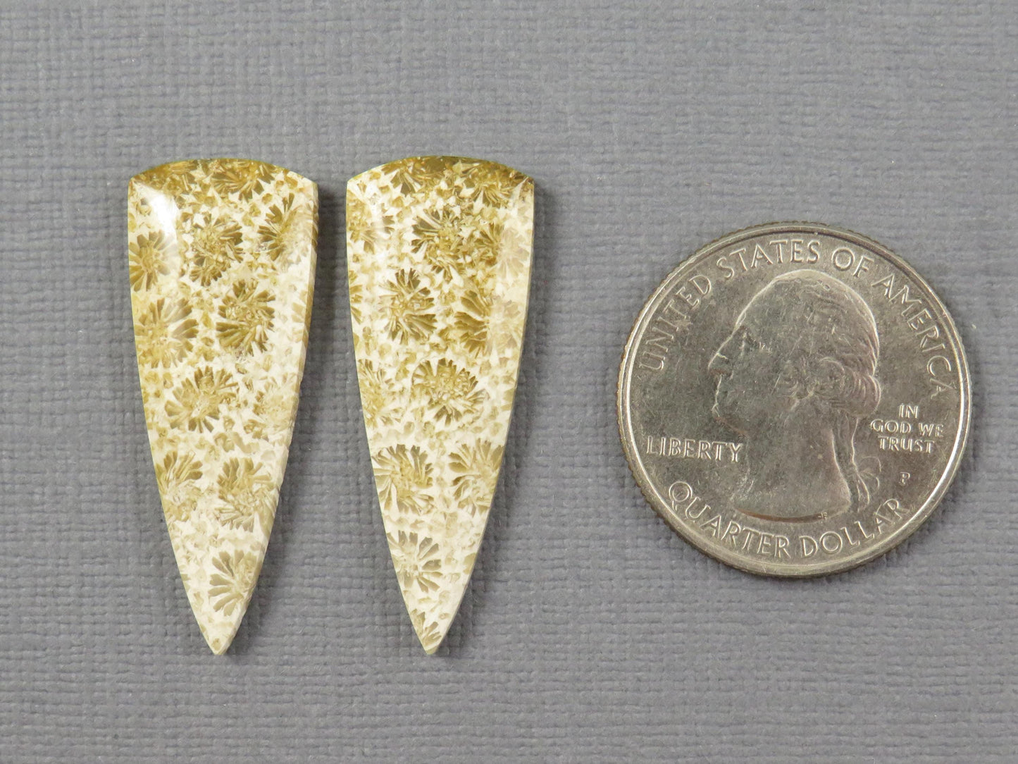 Fossilized Coral Cabochon | Agatized Coral | 34x13mm, 22.5ct | Per Pair | Indonesia | FC103 - - GemEnthusiast