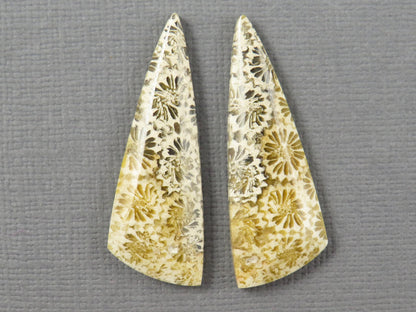 Fossilized Coral Cabochon | Agatized Coral | 34.5x12mm, 20.5ct | Indonesia | FC104 - - GemEnthusiast