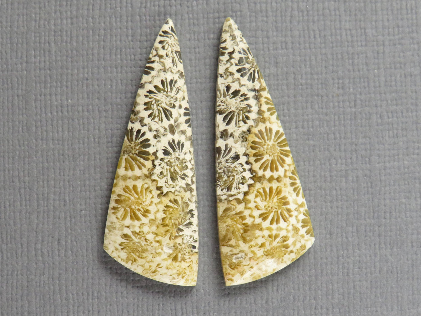 Fossilized Coral Cabochon | Agatized Coral | 34.5x12mm, 20.5ct | Indonesia | FC104 - - GemEnthusiast