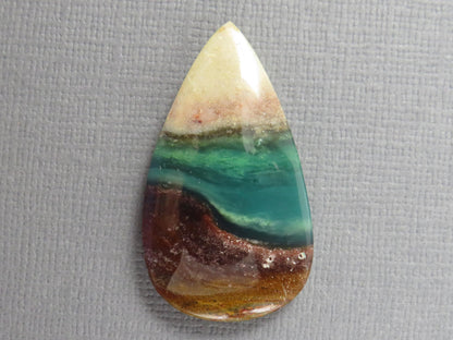 Opalized Wood Pear Cabochon | Petrified Wood | Fossil | WO247 - - GemEnthusiast