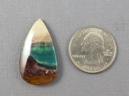 Opalized Wood Pear Cabochon | Petrified Wood | Fossil | WO247 - - GemEnthusiast