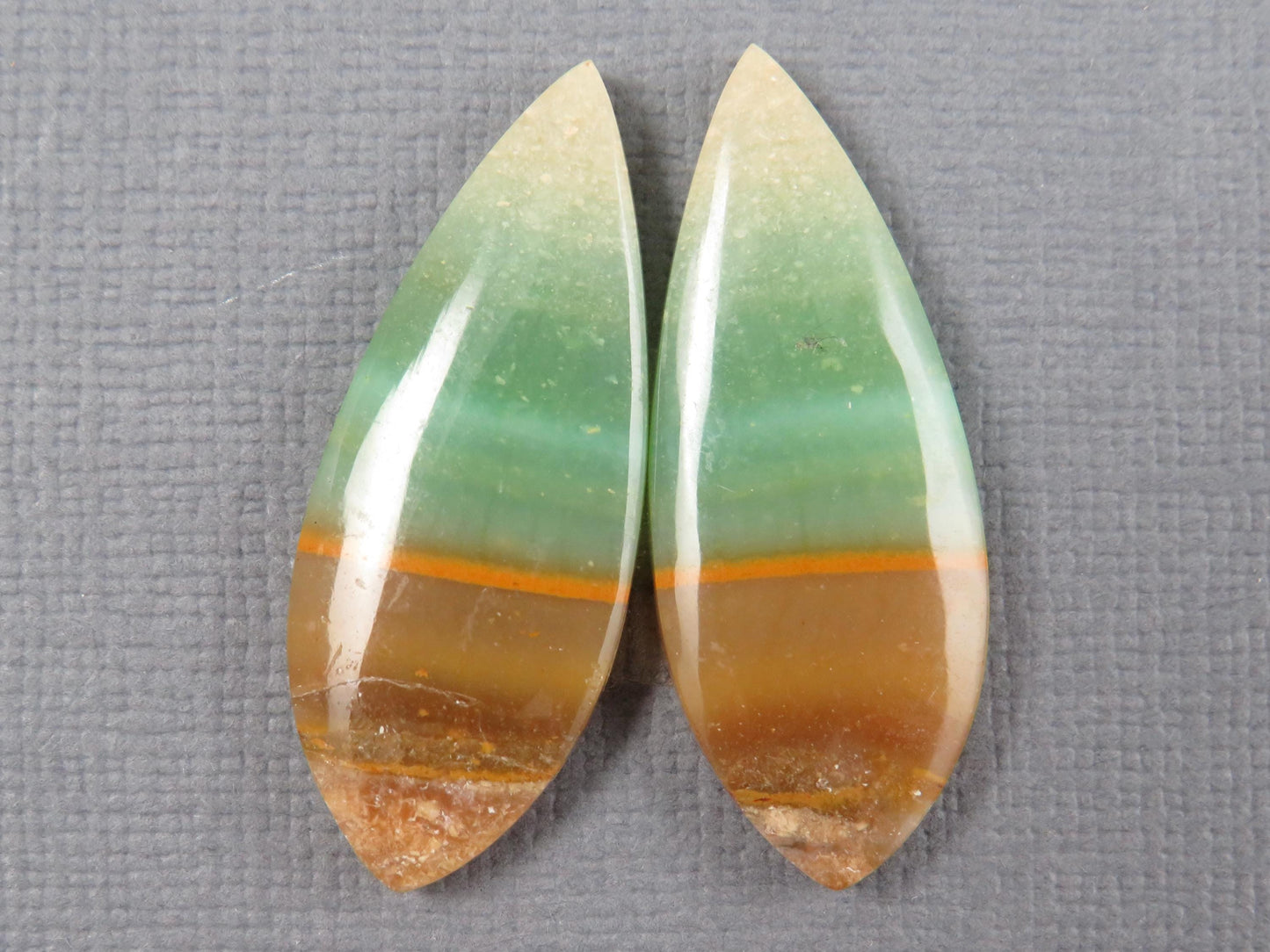 Opalized Wood Pair Lot | 26–30mm| Indonesia | WO255 - - GemEnthusiast