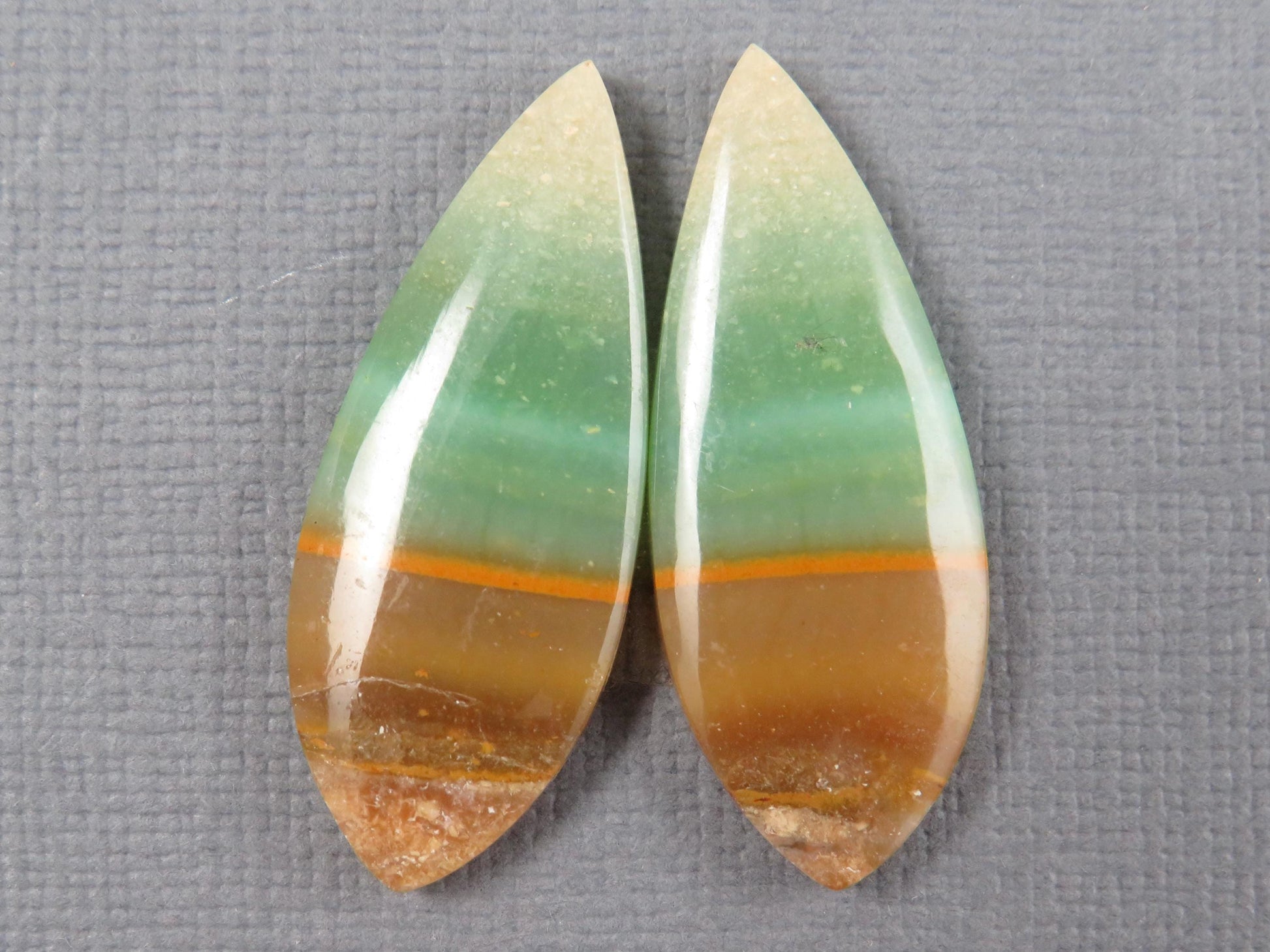 Opalized Wood Pair Lot | 26–30mm| Indonesia | WO255 - - GemEnthusiast