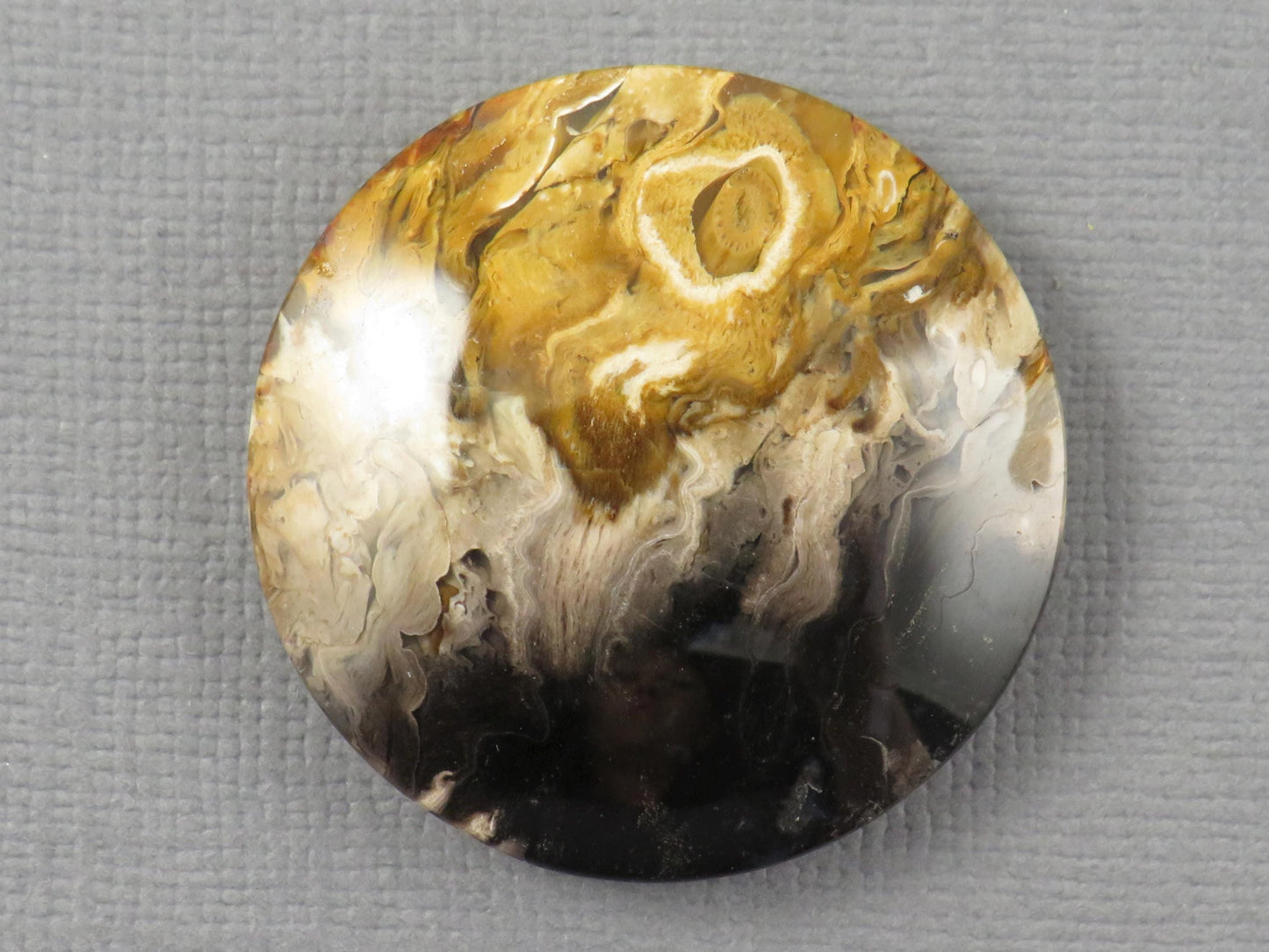 Fossilized Palm Root Round Cabochon | Flame Palm Root | 30x30mm, 48.4ct | Indonesia | PRF100 - - GemEnthusiast