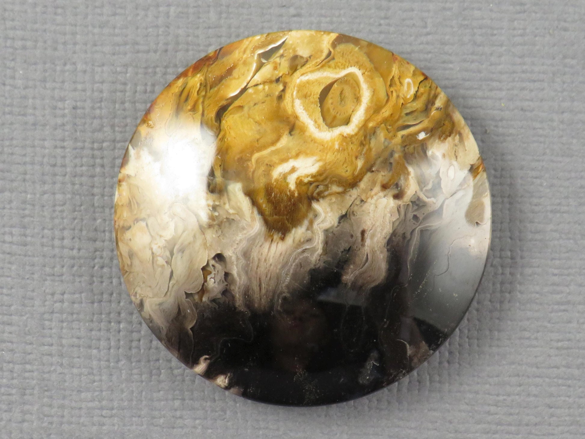 Fossilized Palm Root Round Cabochon | Flame Palm Root | 30x30mm, 48.4ct | Indonesia | PRF100 - - GemEnthusiast