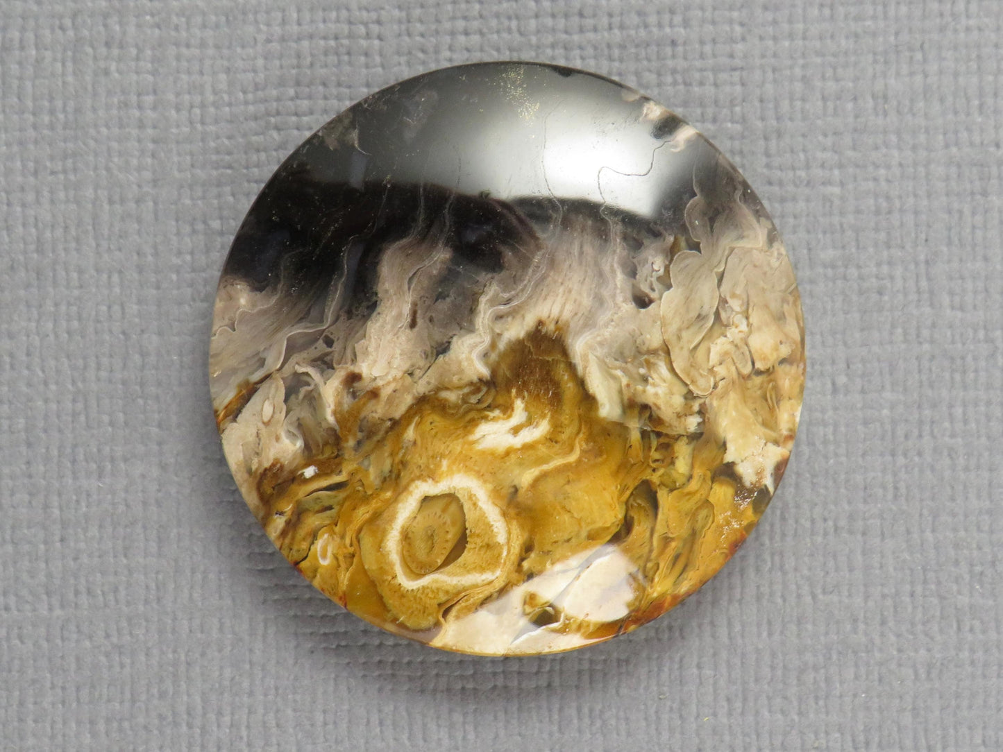 Fossilized Palm Root Round Cabochon | Flame Palm Root | 30x30mm, 48.4ct | Indonesia | PRF100 - - GemEnthusiast