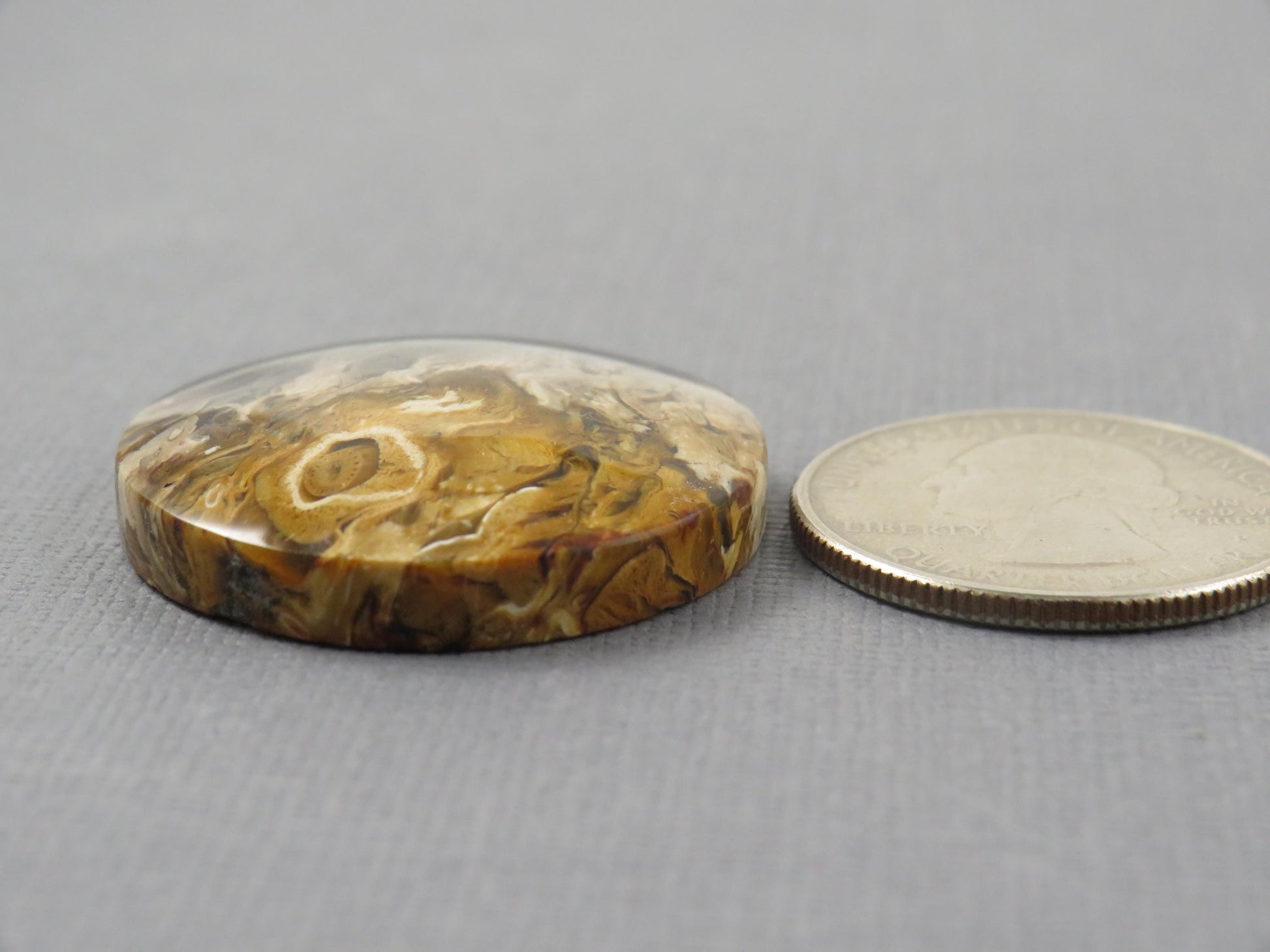 Fossilized Palm Root Round Cabochon | Flame Palm Root | 30x30mm, 48.4ct | Indonesia | PRF100 - - GemEnthusiast