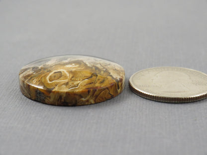Fossilized Palm Root Round Cabochon | Flame Palm Root | 30x30mm, 48.4ct | Indonesia | PRF100 - - GemEnthusiast