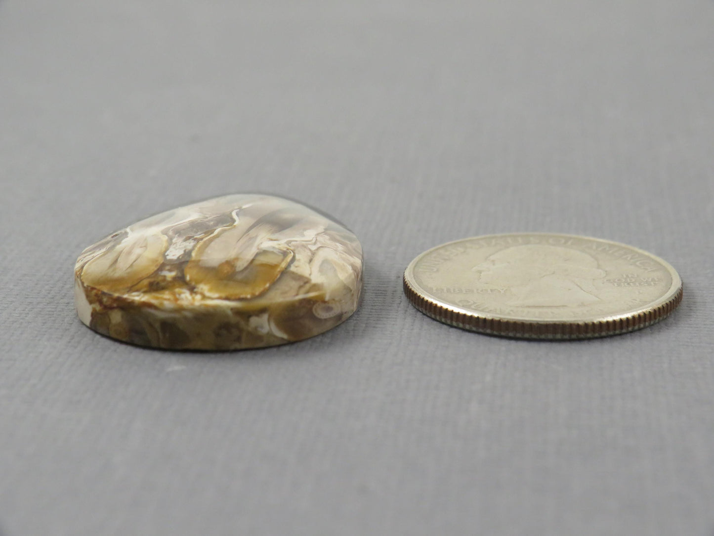 Fossilized Palm Root Pear Cabochon | Flame Pattern | 36x25mm, 41ct | Indonesia | PRF102 - - GemEnthusiast