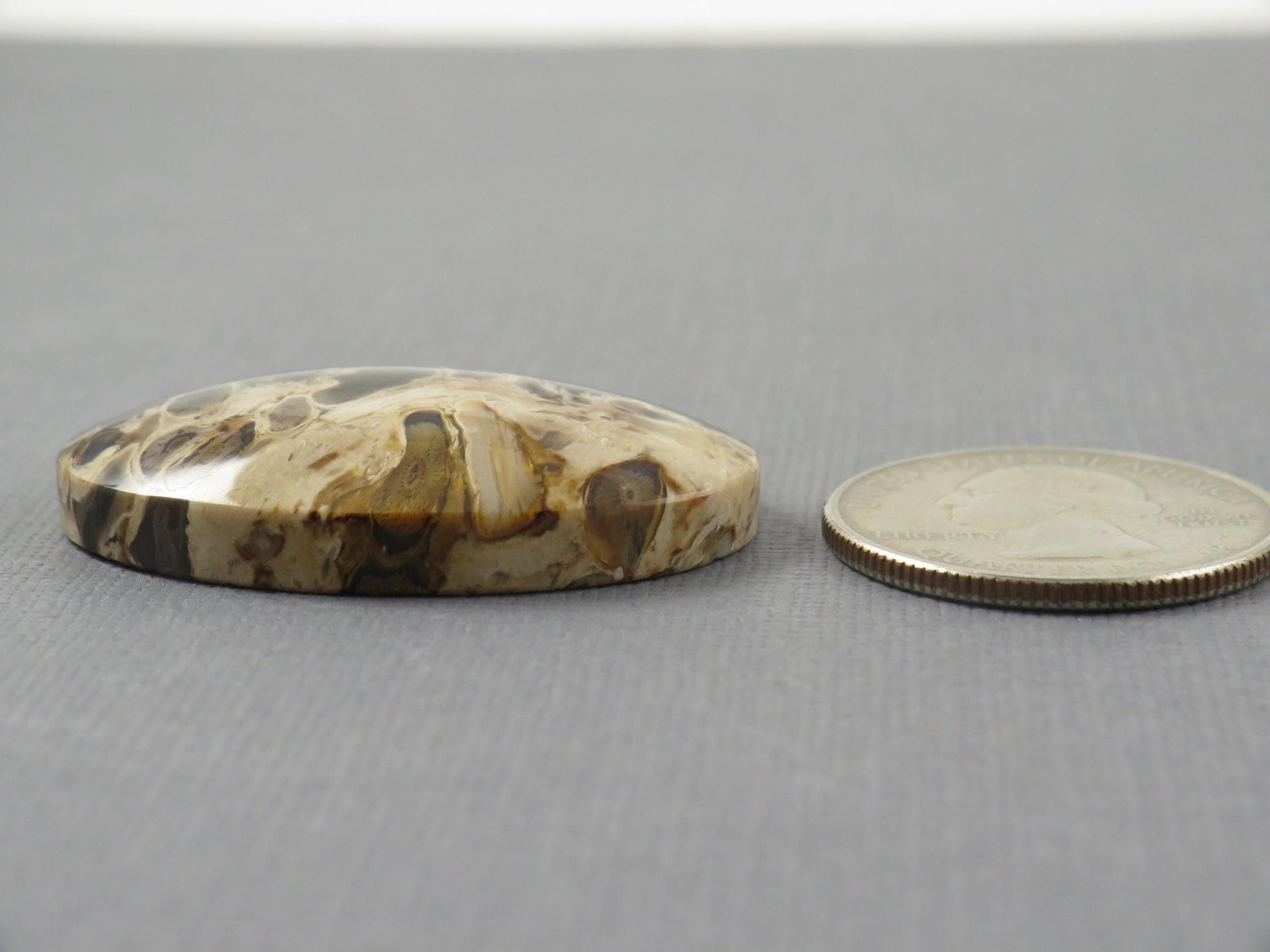 Fossilized Palm Root Cabochon Oval | Flame Pattern | 37x25mm, 62ct | Indonesia | PRF104 - - GemEnthusiast