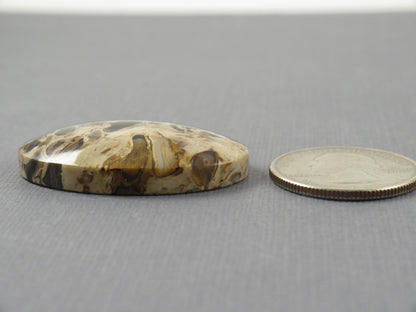 Fossilized Palm Root Cabochon Oval | Flame Pattern | 37x25mm, 62ct | Indonesia | PRF104 - - GemEnthusiast