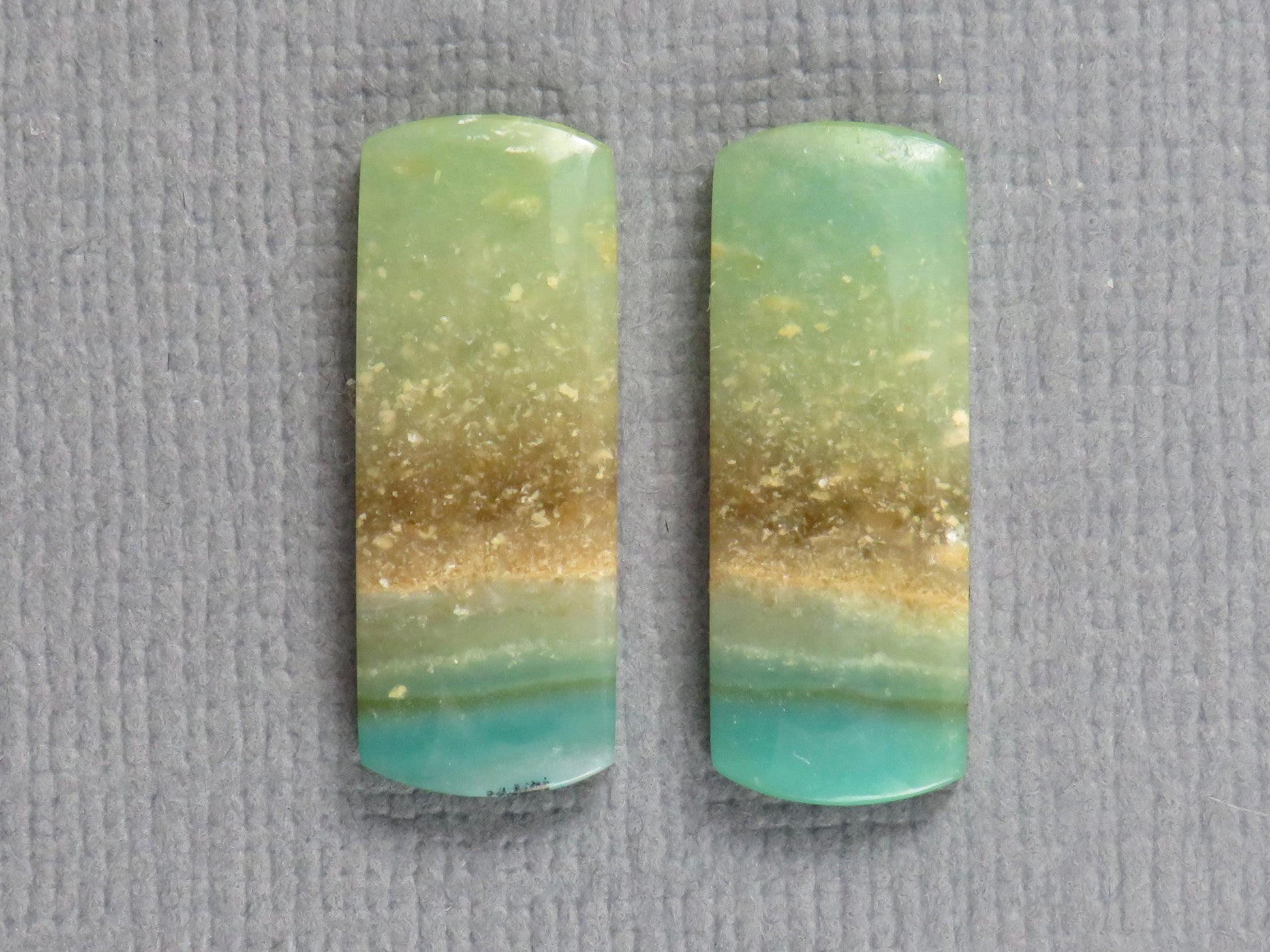 Opalized Wood Pair | Petrified Wood Opal | 18x7mm, 6.23ct | Indonesia | WO259 - - GemEnthusiast