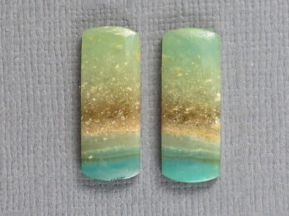 Opalized Wood Pair | Petrified Wood Opal | 18x7mm, 6.23ct | Indonesia | WO259 - - GemEnthusiast