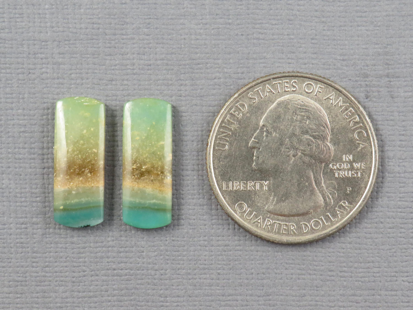 Opalized Wood Pair | Petrified Wood Opal | 18x7mm, 6.23ct | Indonesia | WO259 - - GemEnthusiast