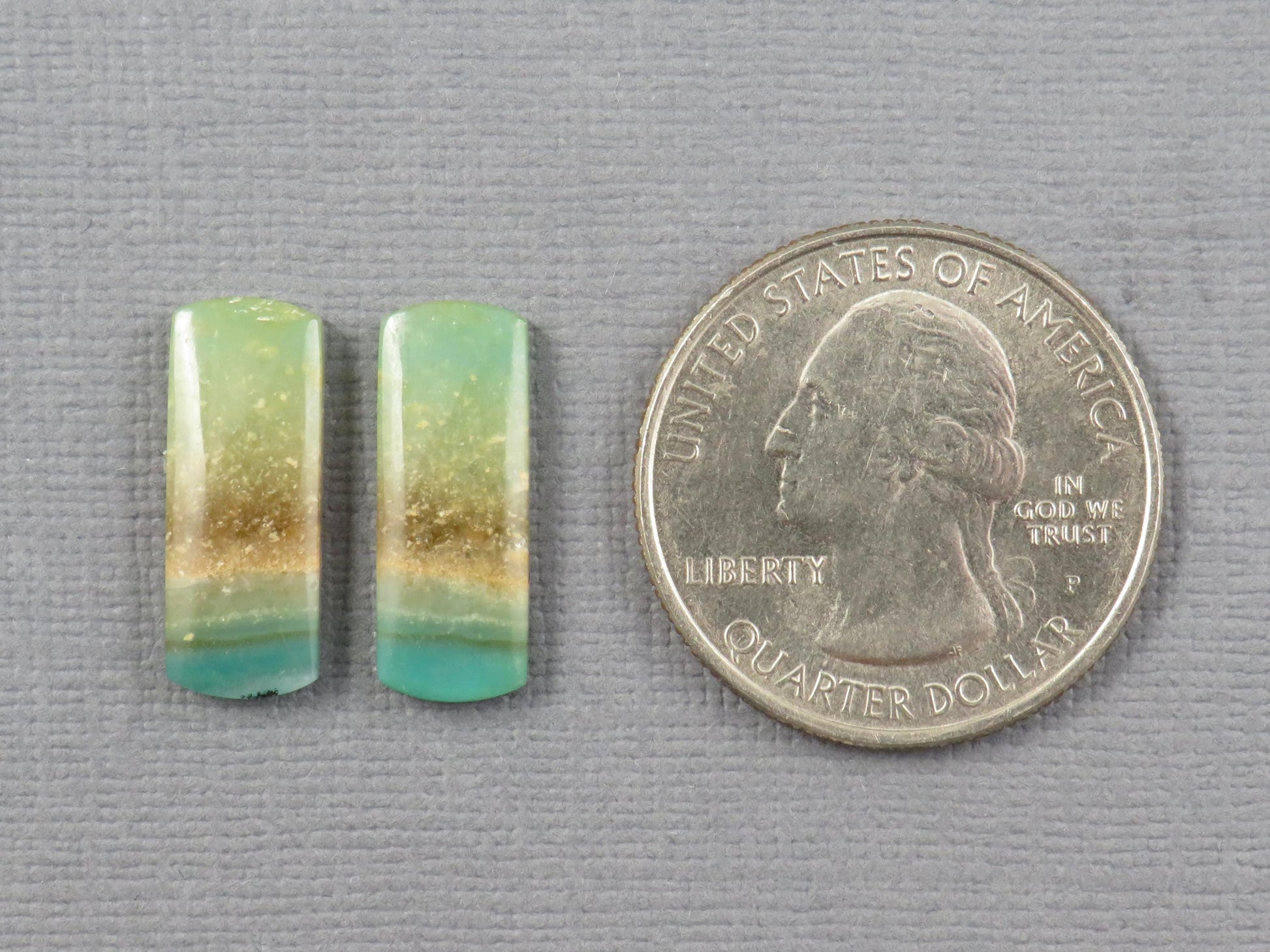 Opalized Wood Pair | Petrified Wood Opal | 18x7mm, 6.23ct | Indonesia | WO259 - - GemEnthusiast