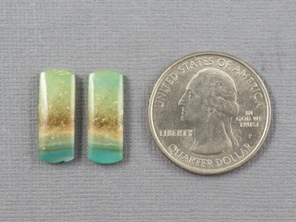 Opalized Wood Pair | Petrified Wood Opal | 18x7mm, 6.23ct | Indonesia | WO259 - - GemEnthusiast