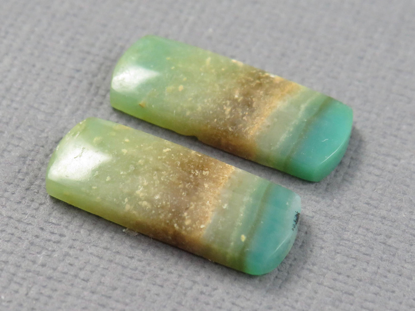 Opalized Wood Pair | Petrified Wood Opal | 18x7mm, 6.23ct | Indonesia | WO259 - - GemEnthusiast