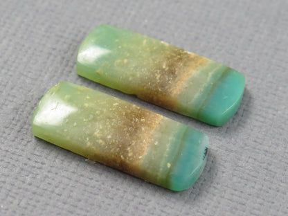 Opalized Wood Pair | Petrified Wood Opal | 18x7mm, 6.23ct | Indonesia | WO259 - - GemEnthusiast