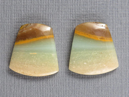 Opalized Wood Pair | Petrified Wood Opal | 15.5x14.5mm, 10.5ct | Indonesia | WO260 - - GemEnthusiast